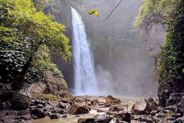 Wasserfälle Bali die besten Bali Waterfalls