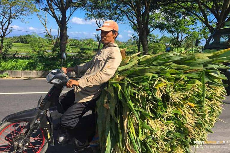 Bali Roller mieten Verkehr in Indonesien