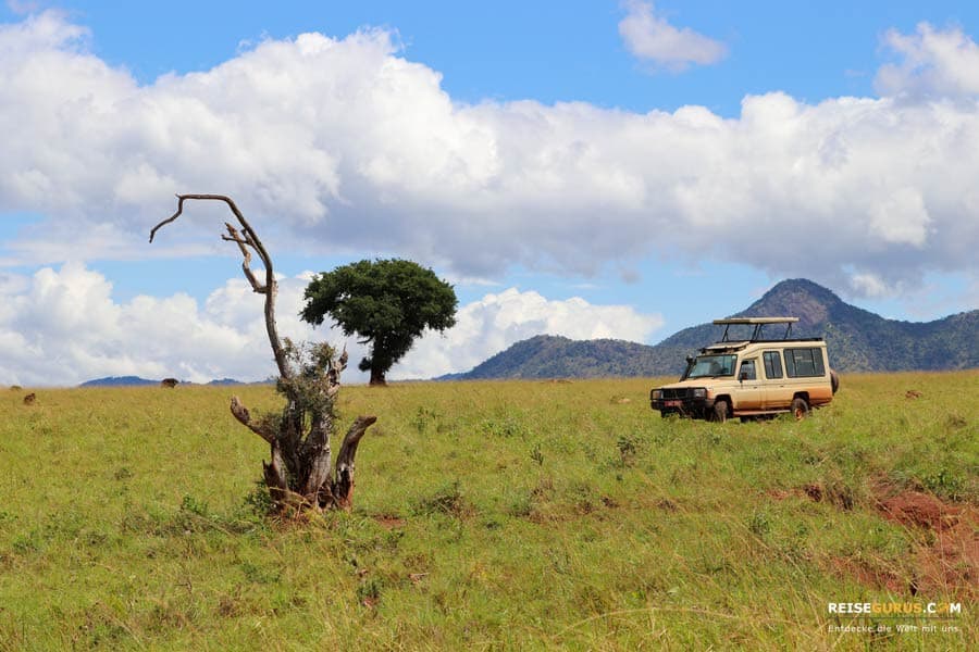 Kidepo Nationalpark Uganda