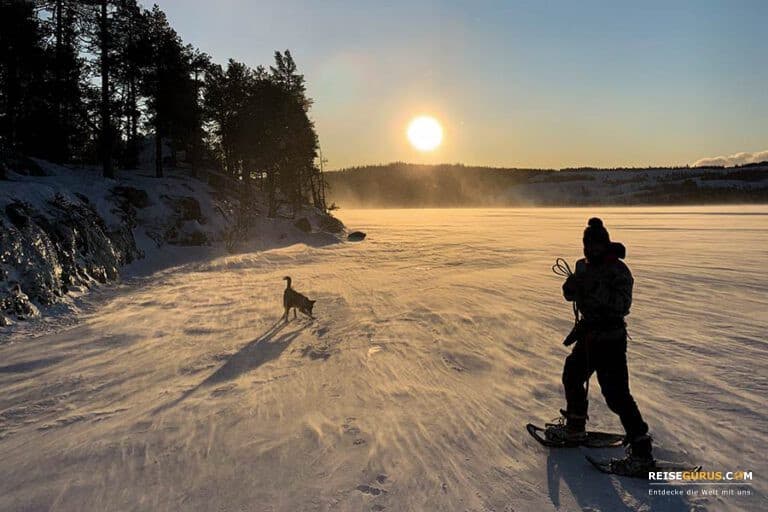 Finnland Wintertouren – Top Aktivitäten im Winter