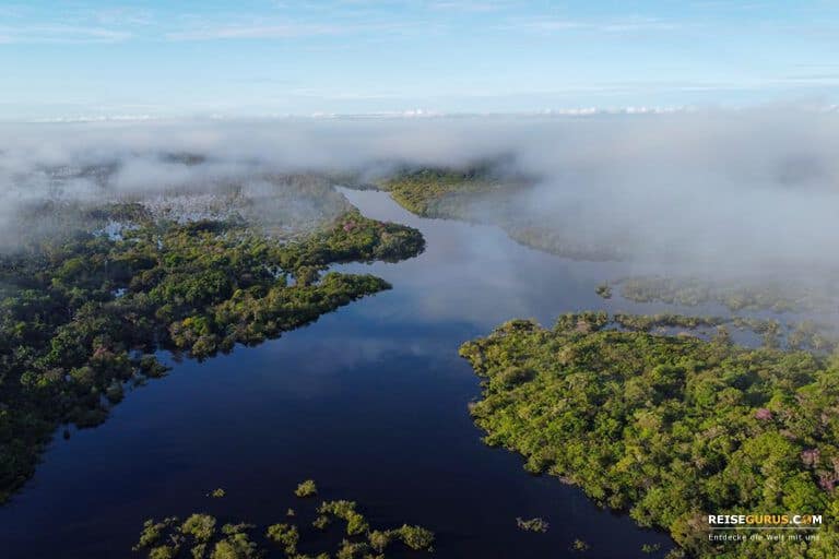 Amazonas Tour in Brasilien – Erfahrungen im Survival Camp