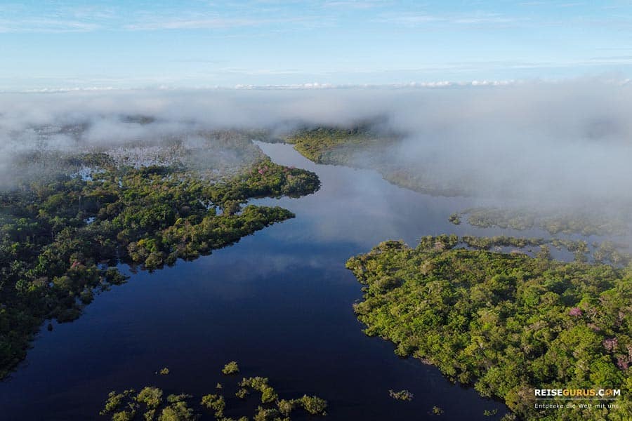 Amazonas Tour in Brasilien